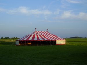 Barones tweemaster op gras, Achlum, mei 2011